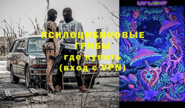a pvp Лиски