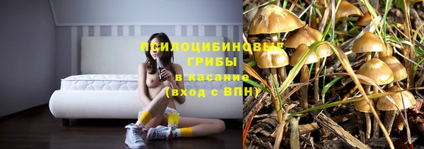 круглые Сясьстрой