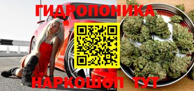 a pvp Апшеронск