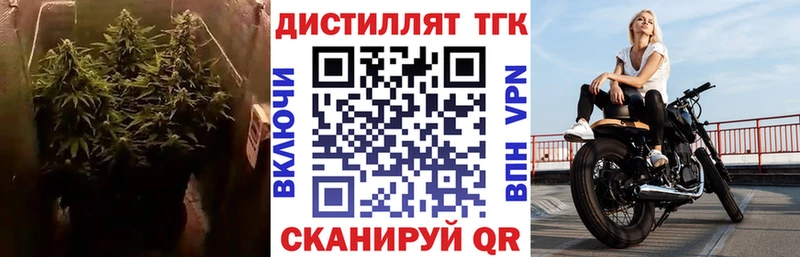 как найти наркотики  Сунжа  Дистиллят ТГК THC oil 