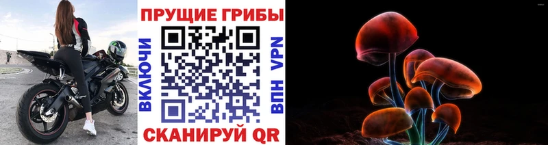 blacksprut онион  Сунжа  shop формула  цена наркотик  Псилоцибиновые грибы прущие грибы 