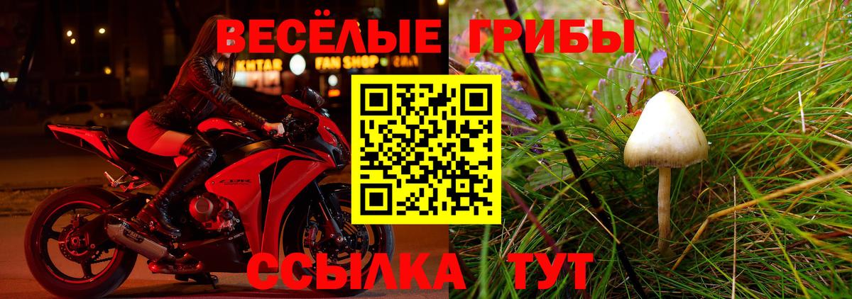 Псилоцибиновые грибы ЛСД Сунжа