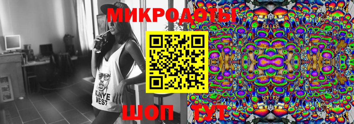 Сунжа  Псилоцибиновые грибы Cubensis  Вход с VPN 